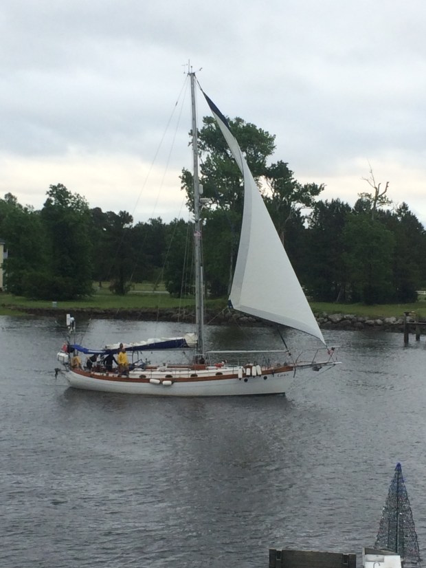 D412E9D4-75B1-4FED-828F-EDE6CFFB6269